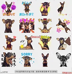 line贴图表情包移动微型PINSCHER贴纸MOVING STICKE