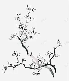 装饰梅花高清素材 花卉 免费下载 页面网页 平面电商 创意素材 png素材