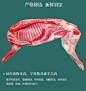 盐池生羊肉新鲜现杀羊腿烤全羊 整只 宁夏滩羊肉羔羊半只18斤清真-tmall.com天猫