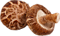香菇