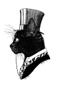 Victorian cat. When did today's cats stop dressing so nattily?