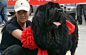 This Tibetan Mastiff was sold to a Chinese millionaire for 582,000 dollars.