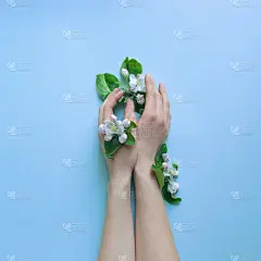 美丽的女性温柔的手握鲜花在明亮的天蓝色背景。关爱双手，尊重自然的理念。