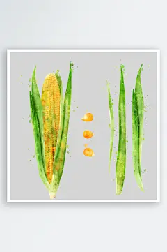 手绘水彩蔬菜水果蓝莓西瓜菠萝png