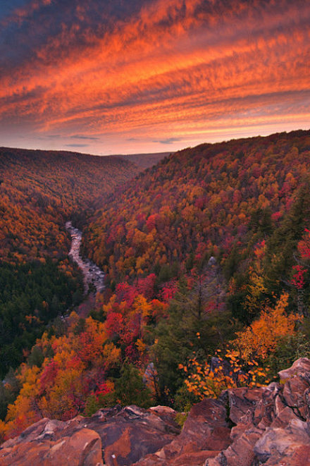 黑水峡谷的秋色。西弗吉尼亚州