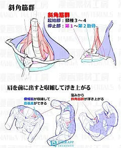 漫画手绘人体怎么画？一步步教你画漫画手绘人体