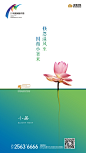 小暑