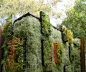Unusual Rooftop Airplant Vertical Garden Design - Gardenoholic