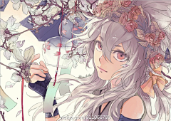 HZi_采集到刀剑乱舞