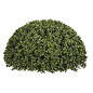 Artificial Boxwood Half Ball