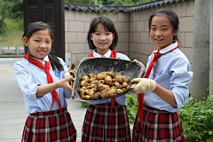 刘俊康采集到研学实践基地