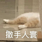 热门 - 热门微博 - 微博
