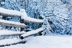 我是设计做图找我采集到雪类