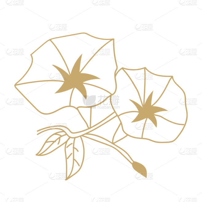 花卉线稿植物元素贴纸-SVG4