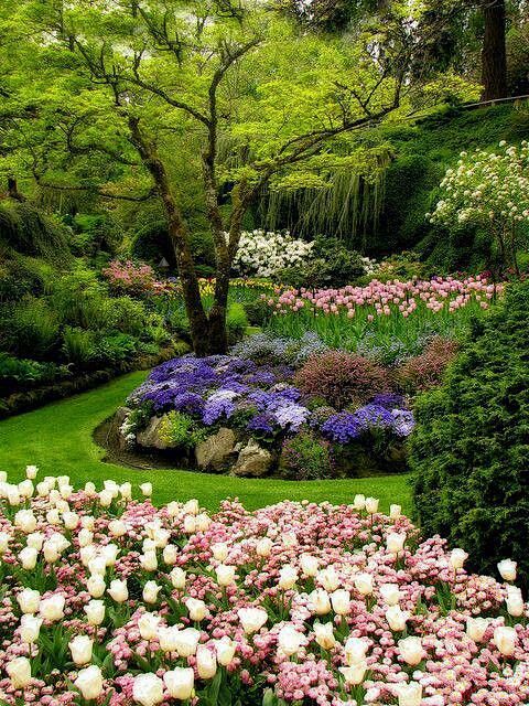 Dream garden with wa...
