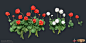 Flower_FINAL.jpg