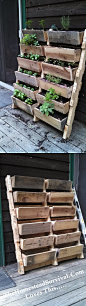 Vertical Gardening // terrific use of space for small yards or porches via Homestead Survival #springfever