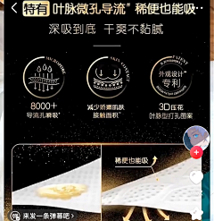 泰迪熊熊阿熊采集到长图