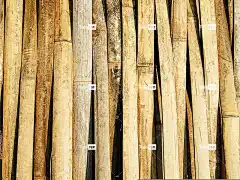 竹子 质地 笔记本电脑壁纸 自由背景 全高清壁纸 美丽的壁纸