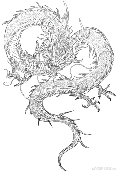 滑滑菇采集到【元素】东方花纹