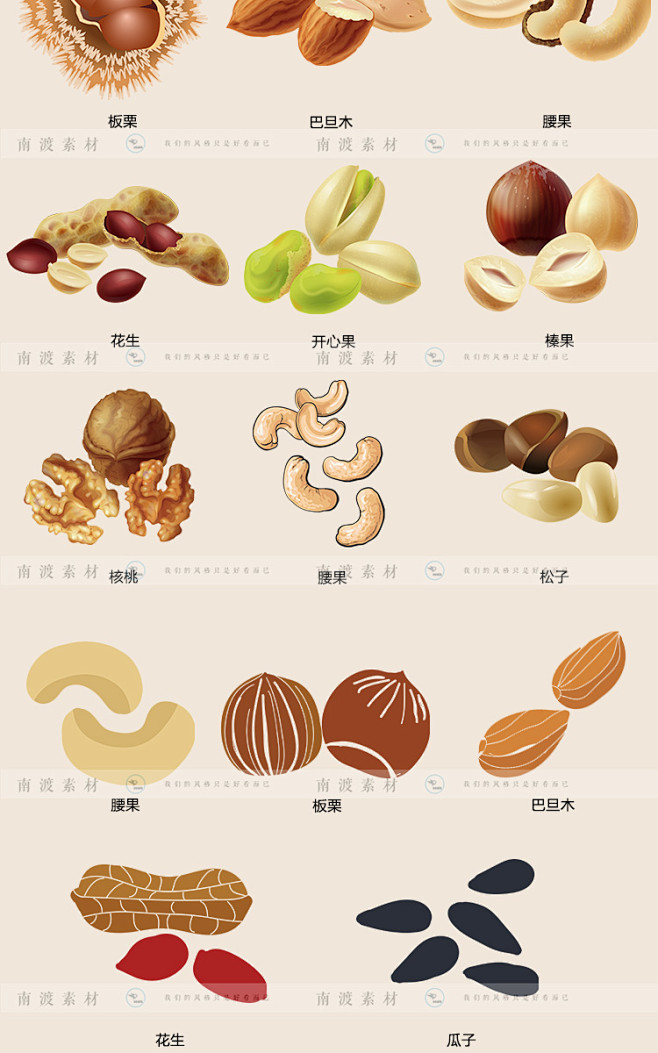 水彩手绘坚果插画开心果核桃花生板栗平面包...