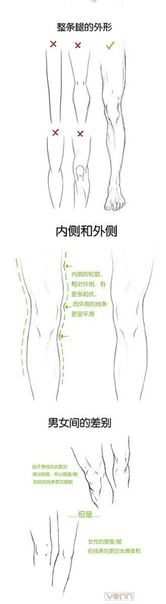 咖啡奶茶巧克力C采集到教程/资料--肢体