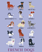 世界名犬图鉴。插画家 Lili Chin从2014年夏天开始画了200多只来自世界各地我们最喜欢的类型的狗，她展示出了一个狗的世界，这是192只犬品种的集合。它们的地理位置、国家分布，海报具有说明功能，卡通风格突出每只狗的独特外观。