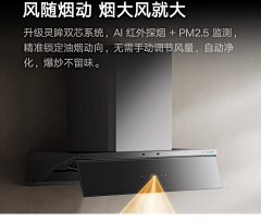 暴富胖头鱼采集到产品设计—大电