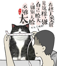 浣红尘采集到那猫&那咪