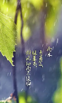 24节气之雨水唯美手机壁纸 768x1280