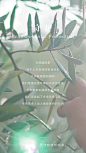 005Gze0Agy1h9u9l5fv6gg30m813i1l7.gif (800×1422)