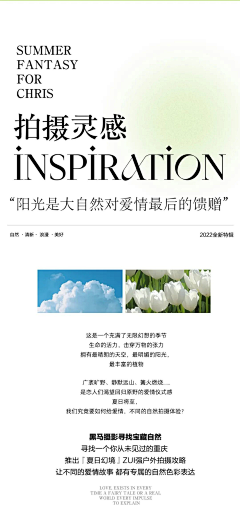 饲养百变怪采集到素材-详情页