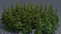 Low poly pine tree, Roman Boichuk : Always wanted to plant my tree ))))
Enjoy !
