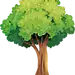 卡通树