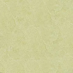 纯色壁纸 (834)