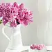 pink flowers in white ceramic vase