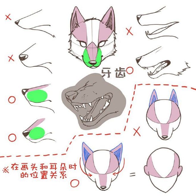 #绘画学习# 【猫狗设计绘制画法】猫和狗...