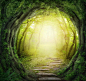 超清唯美漂亮的童话树林背景图片素材 #网页#