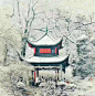 爱晚亭雪景_百度图片搜索