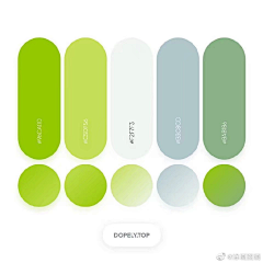 双子cc采集到配色