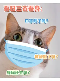 防疫疫情居家生活分享简约风plog模板
