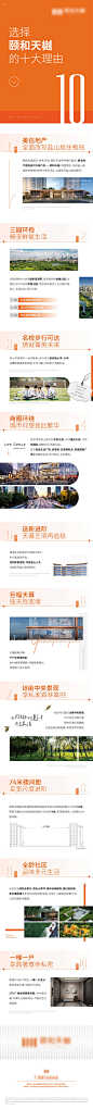 房地产价值点长图-源文件 _1_T202415 