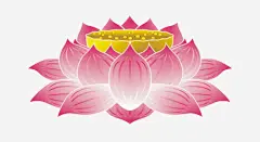 佛教莲花座矢量
