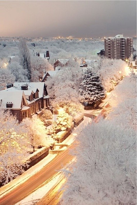 雪的黄昏，伦敦，英国