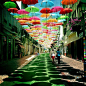 [雨伞街] 这浪漫的一幕在葡萄牙北方城市波尔图，是波尔图南部的阿格达小镇所举办的Agitagueda艺术节的一部分。一个游览过的女教师这样描述道：“走在雨伞的天空下，让我想起了爱丽丝梦游仙境，我为所有的颜色感到惊奇不已，并在这简单的装置中感到快乐。”
