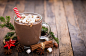 Christmas hot chocolate with marshmallow