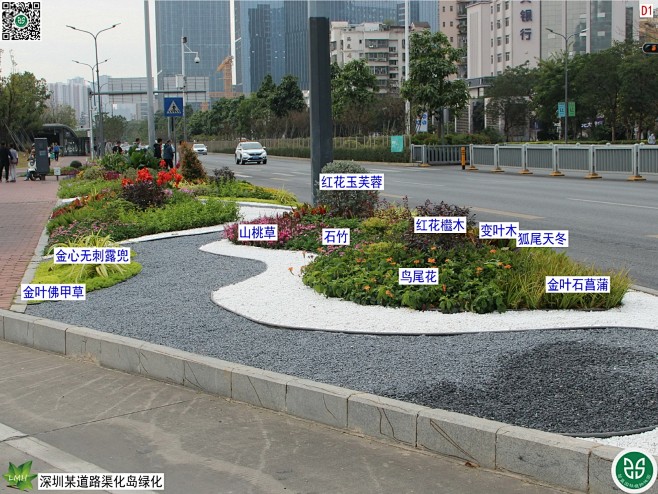 交通岛、道路、花境：深圳道路渠化岛绿化(...