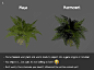 Tutorial | Improving Vegetation Through Vertex Normals, Matt Billeci : I made a quick fundamental vegetation tutorial about how to get better results from your plants by adjusting their vertex normals.

Some software or plugins handle this for you but in 