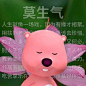 这两天什么表情包最火？Loopy小海狸表情包｜磨金石教育分享