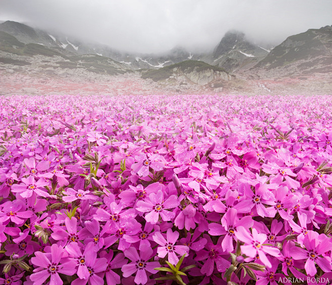 Adrian Borda在 500px ...